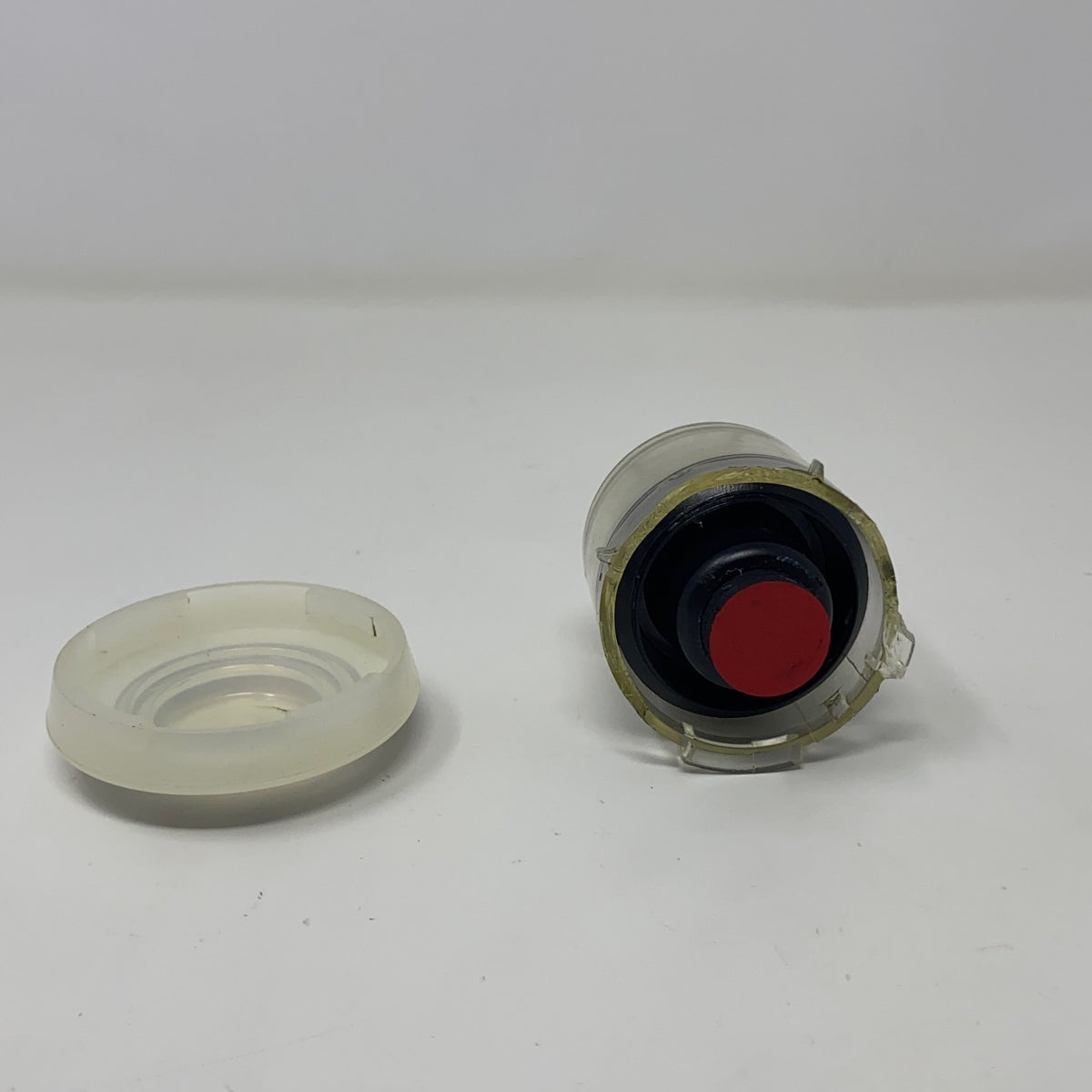 Bottom-LPNO613358365
