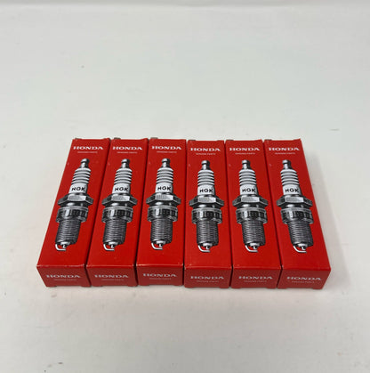 Front-LPNAC715854403