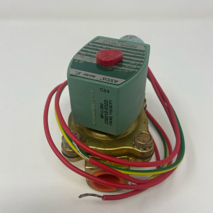 Back-UNT975350T8T